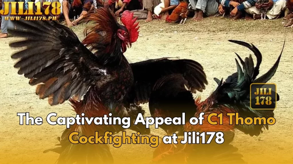 The Captivating Appeal of C1 Thomo Cockfighting Jili178